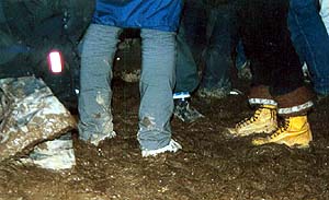rosk00-sole.jpg